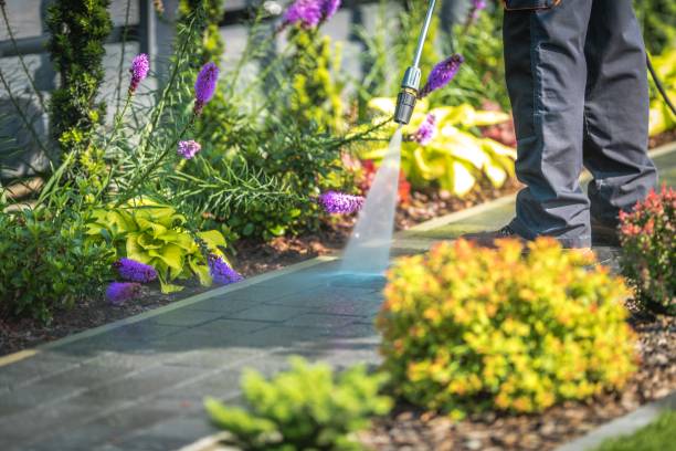 Best Pool Deck Cleaning  in Parkland, WA