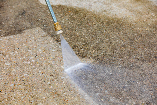 Best Winterizing Services  in Parkland, WA