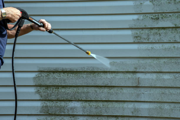 Best House Exterior Washing  in Parkland, WA